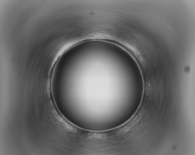 X0000096161374200801251118