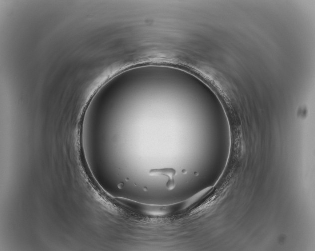 X0000096161375200801251118