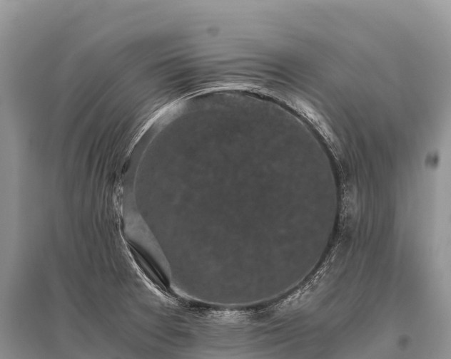 X0000096161377200801251118