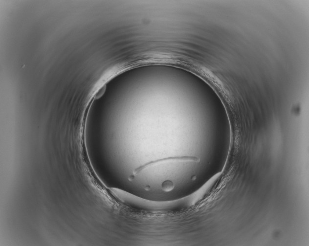 X0000096161378200801251118
