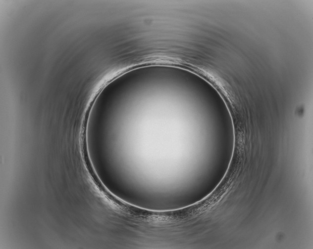 X0000096161379200801251118