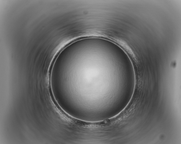 X0000096161380200801251118