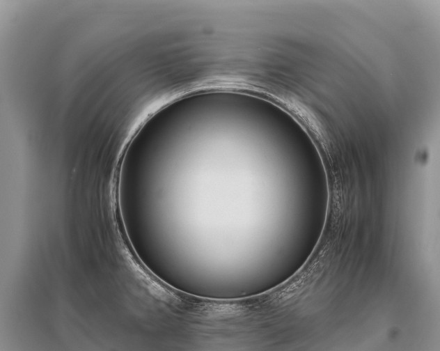 X0000096161382200801251118