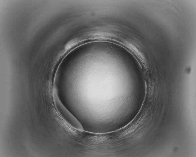 X0000096161384200801251118