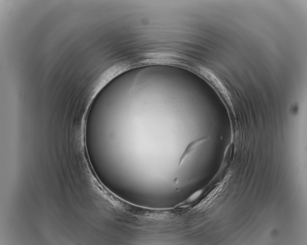 X0000096161386200801251118