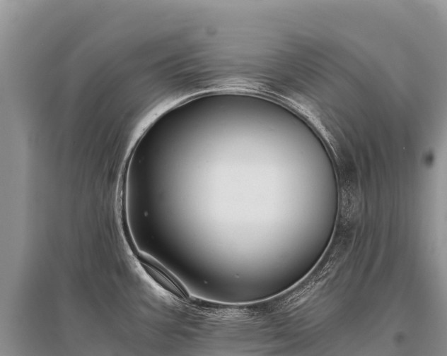 X0000096161387200801251118
