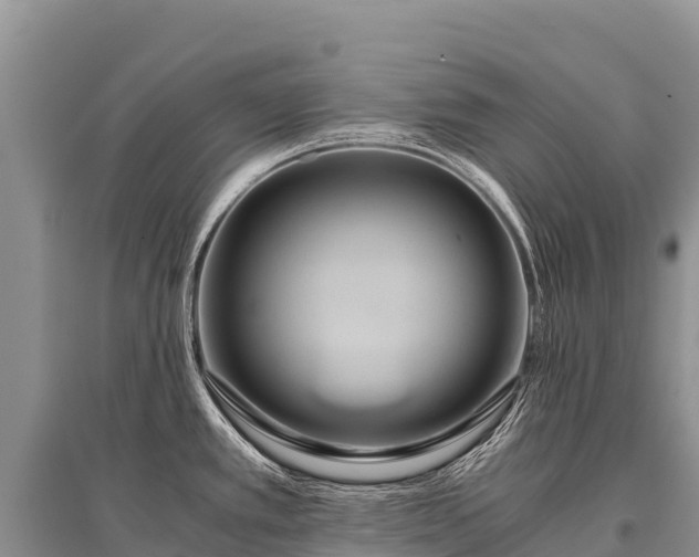X0000096161389200801251118