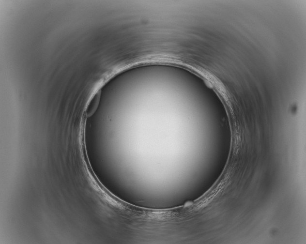 X0000096161390200801251118