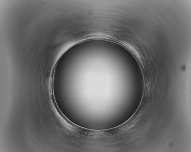 X0000096161391200801251118