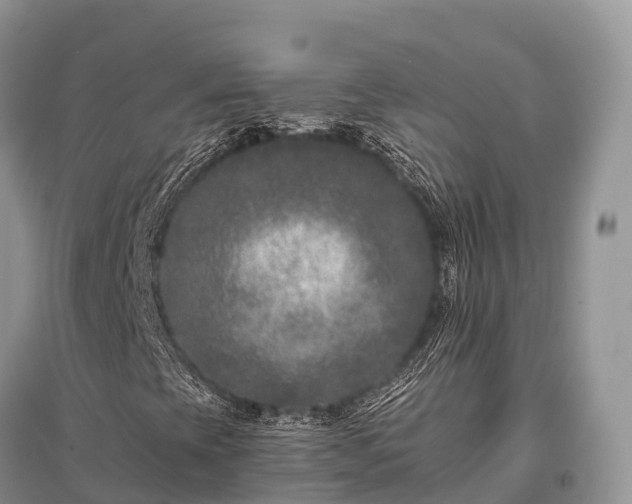 X0000096161393200801251117