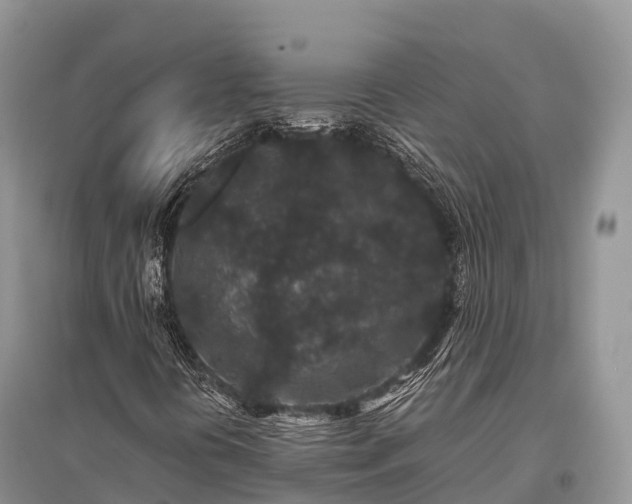 X0000096161394200801251117