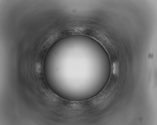 X0000096161395200801251117
