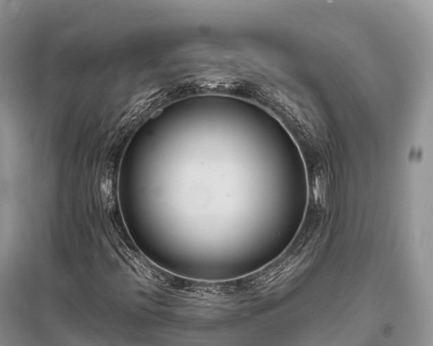 X0000096161396200801251117