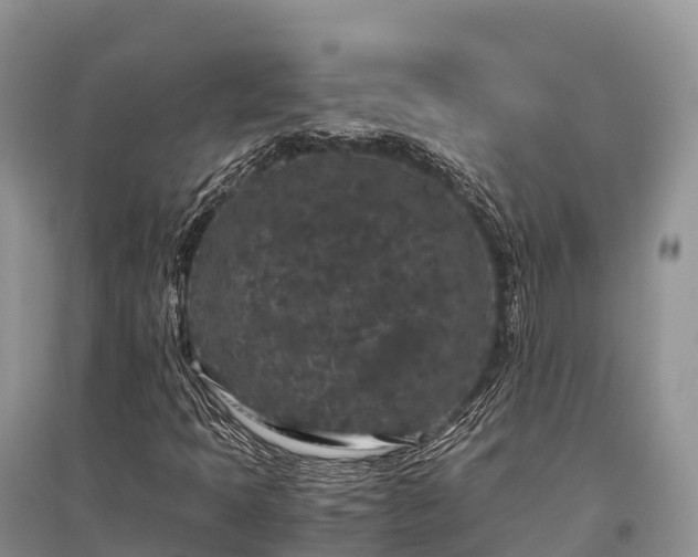 X0000096161397200801251117