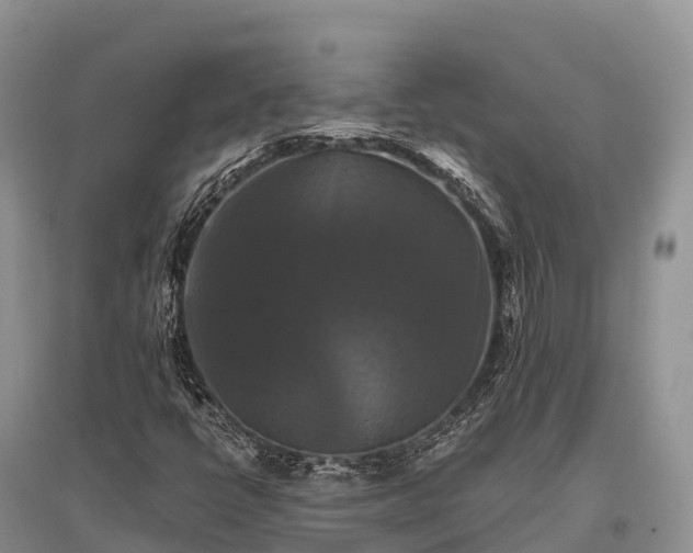 X0000096161398200801251117