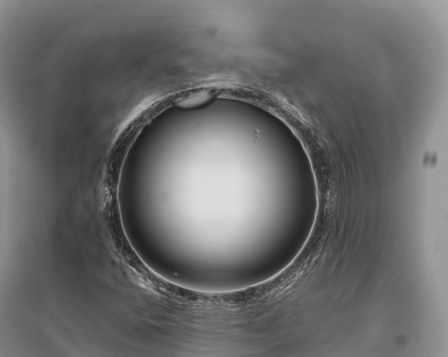 X0000096161400200801251117