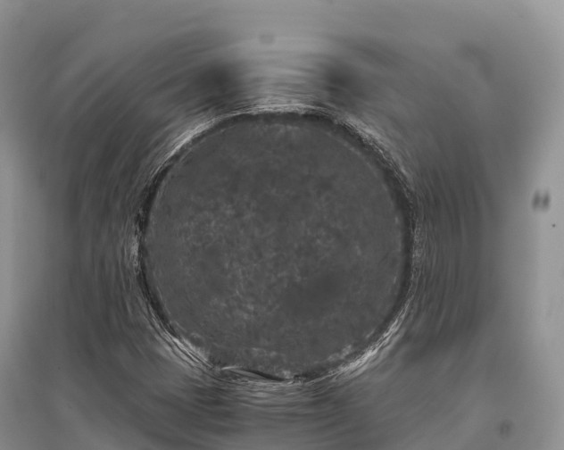 X0000096161401200801251117