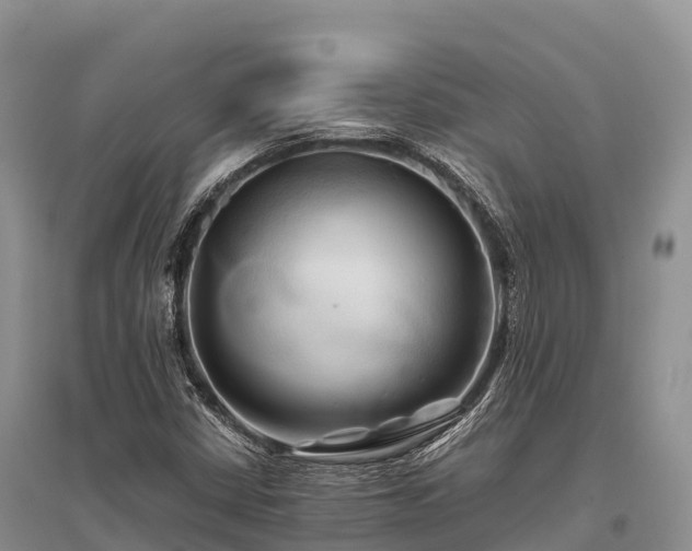 X0000096161402200801251117