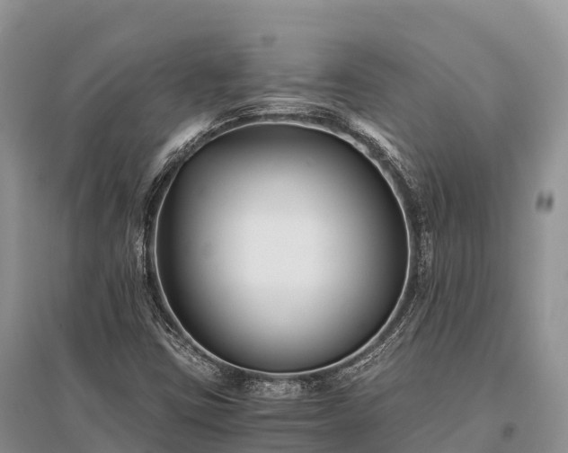 X0000096161403200801251117