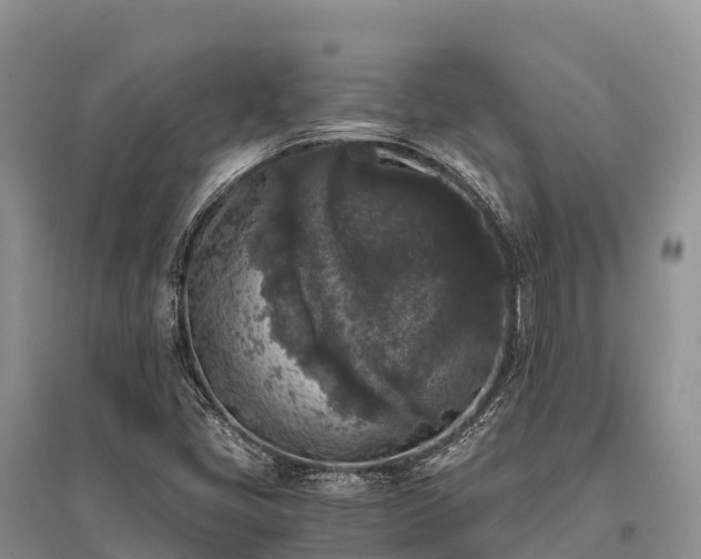 X0000096161405200801251117