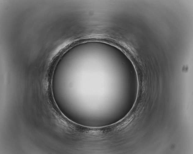 X0000096161406200801251117