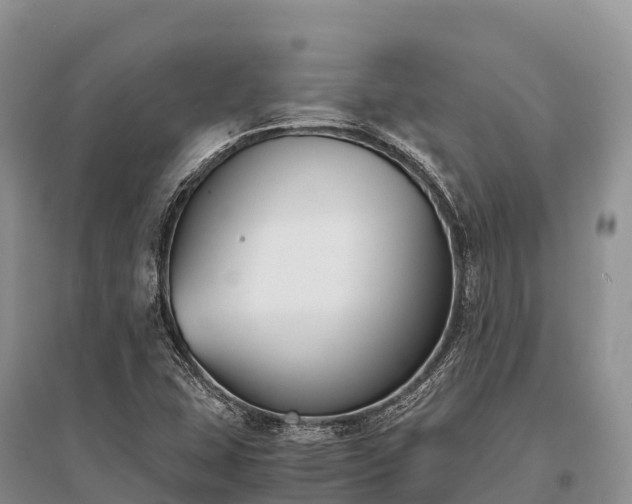 X0000096161407200801251117