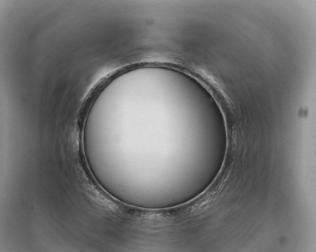 X0000096161408200801251117