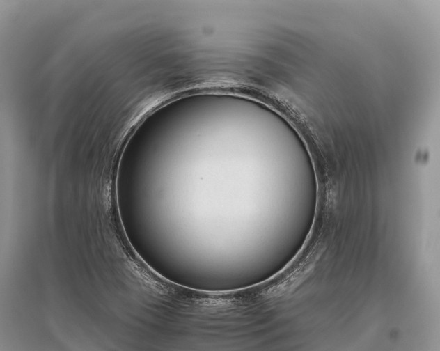 X0000096161409200801251117