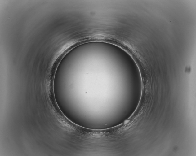 X0000096161410200801251117