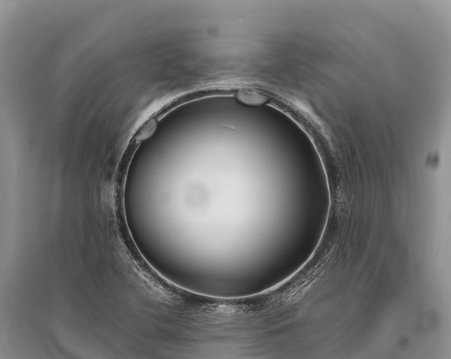 X0000096161412200801251117