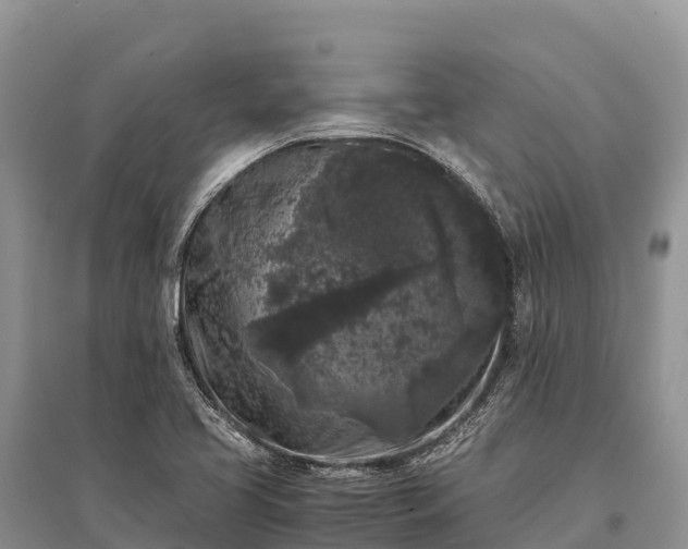X0000096161413200801251117