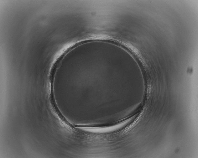 X0000096161414200801251117