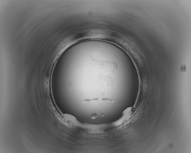 X0000096161417200801251117