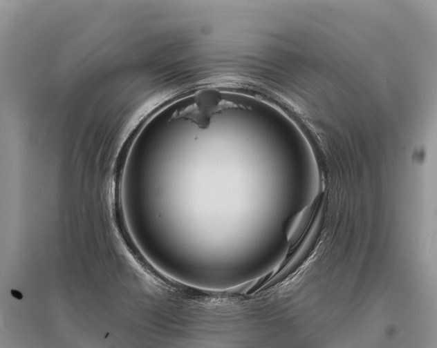 X0000096161418200801251117
