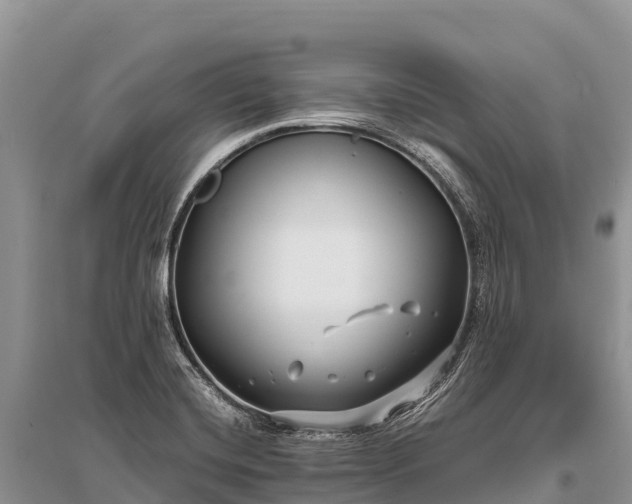 X0000096161420200801251117