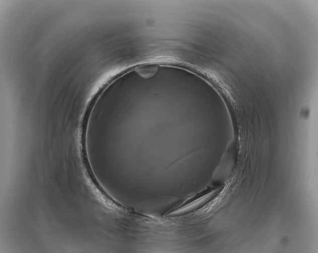 X0000096161422200801251117