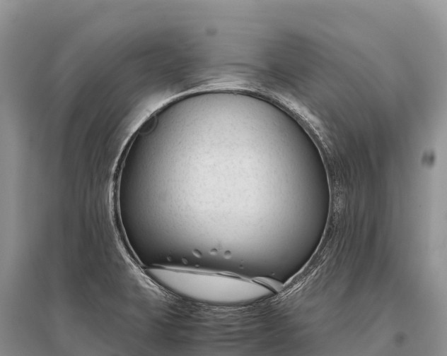 X0000096161423200801251117