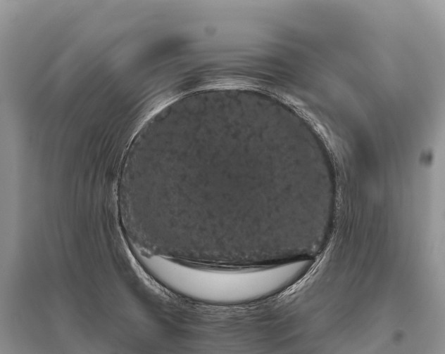 X0000096161425200801251117