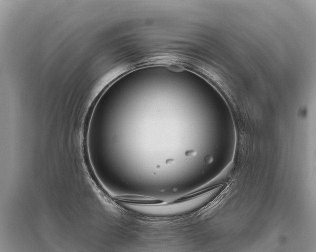 X0000096161426200801251117