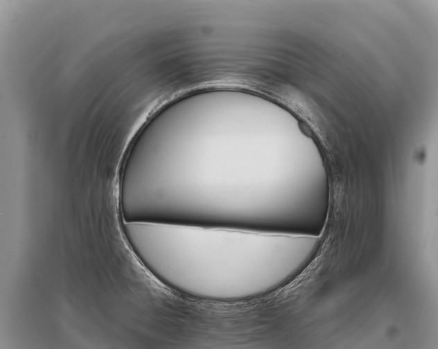 X0000096161428200801251117