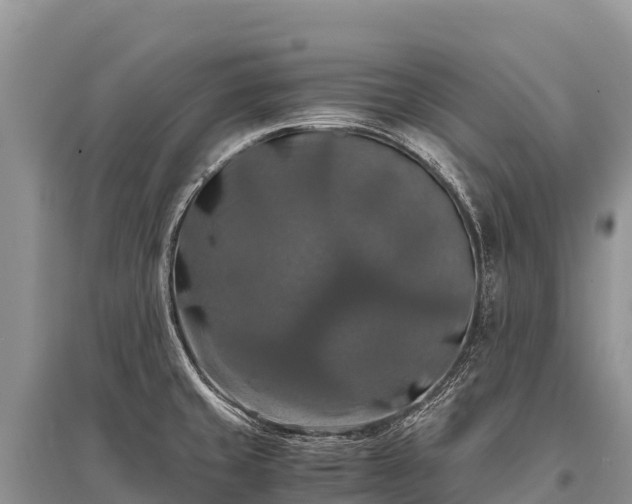 X0000096161429200801251117