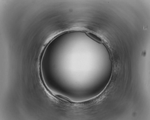 X0000096161430200801251117
