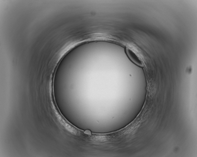 X0000096161431200801251117