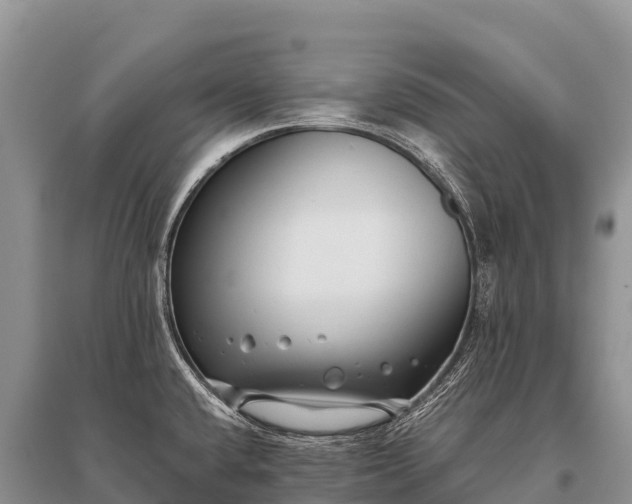 X0000096161432200801251117