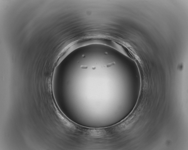 X0000096161433200801251117