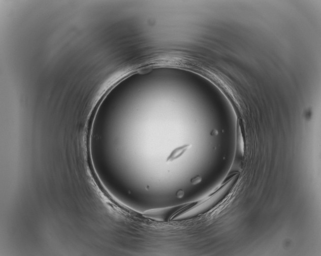 X0000096161434200801251117