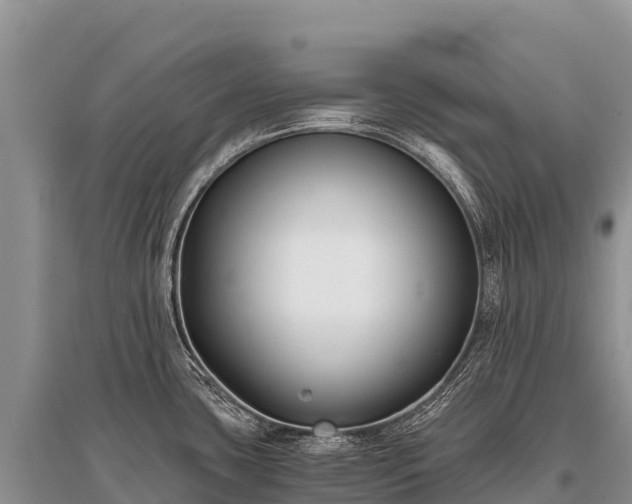 X0000096161435200801251117