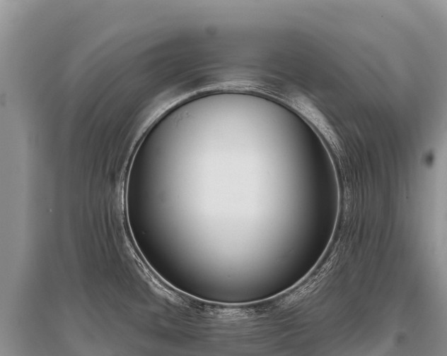 X0000096161436200801251117