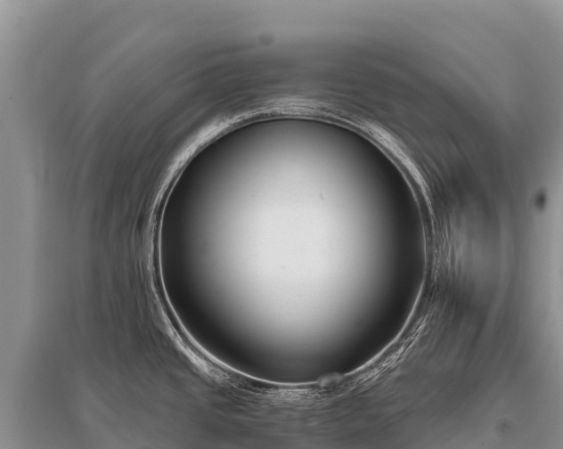 X0000096161437200801251118