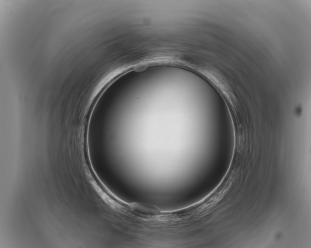 X0000096161438200801251118